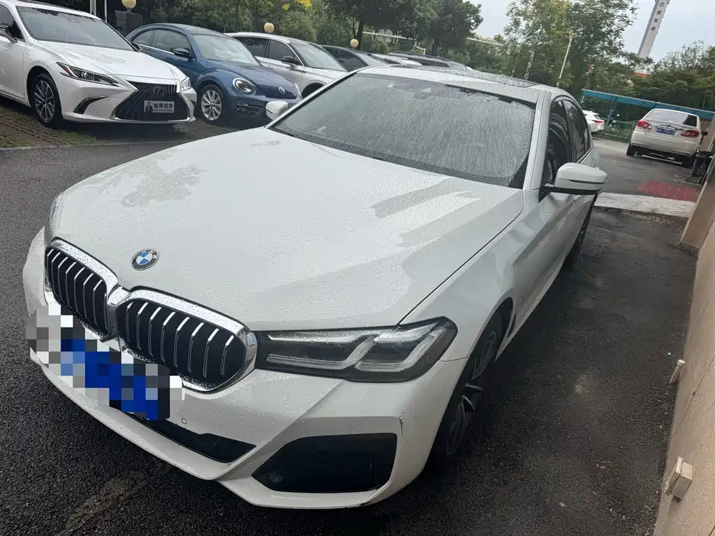 BMW 5 Series (Import)