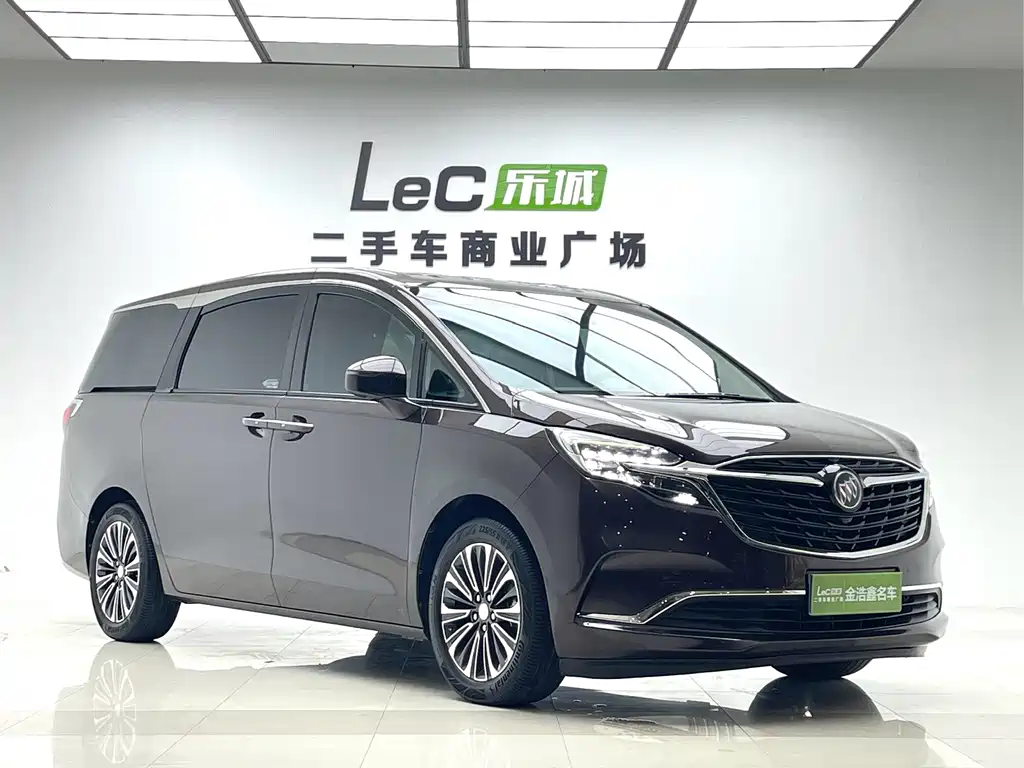 Buick GL8 — миниатюра 3