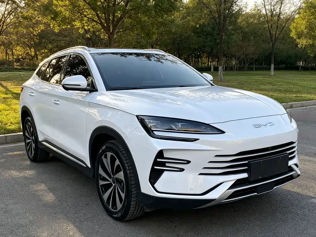 BYD PLUS New Energy — миниатюра 3