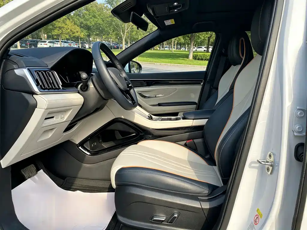 BYD PLUS New Energy — миниатюра 8