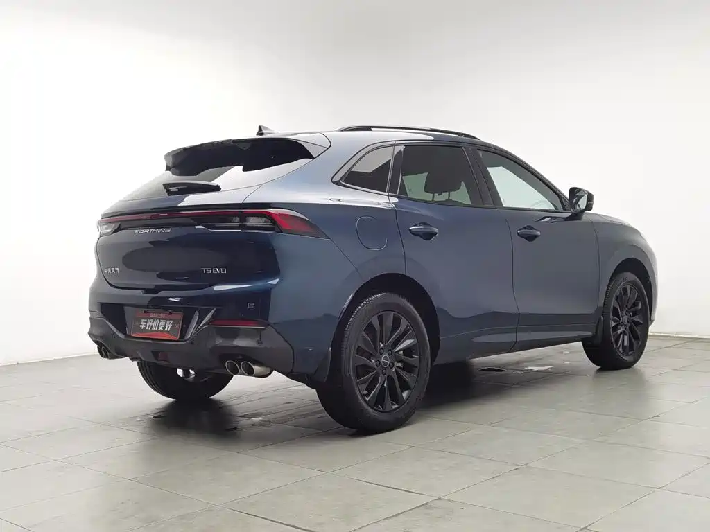Fengxing Fengxing T5 EVO — миниатюра 2