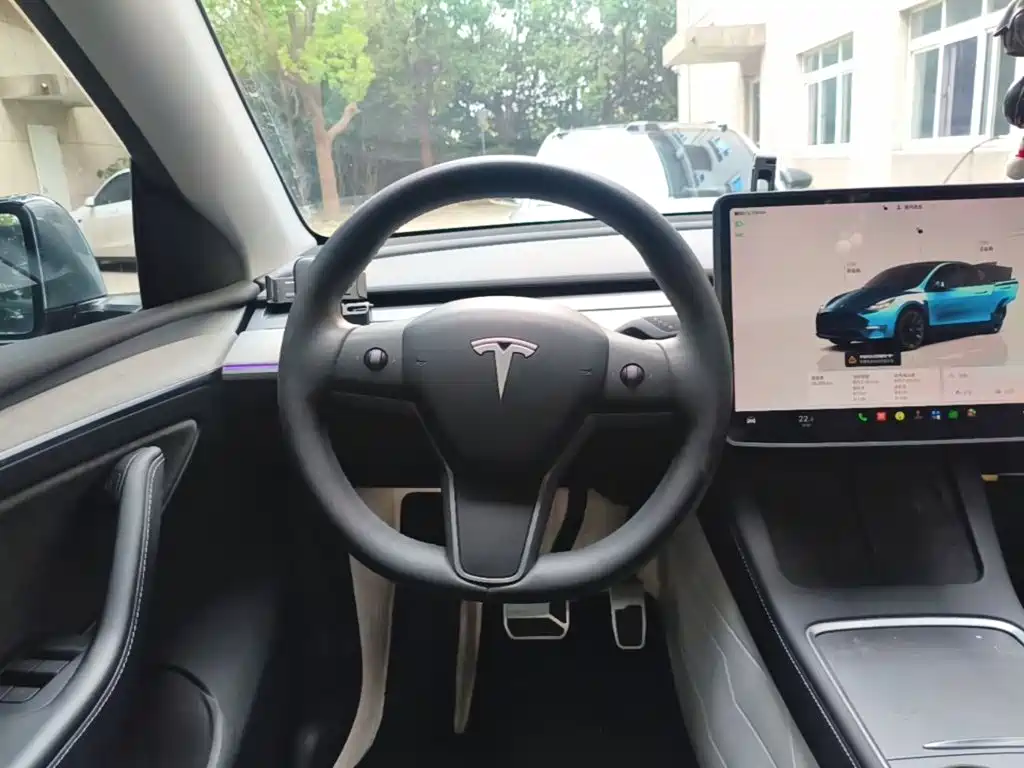 Tesla Model Y — миниатюра 11