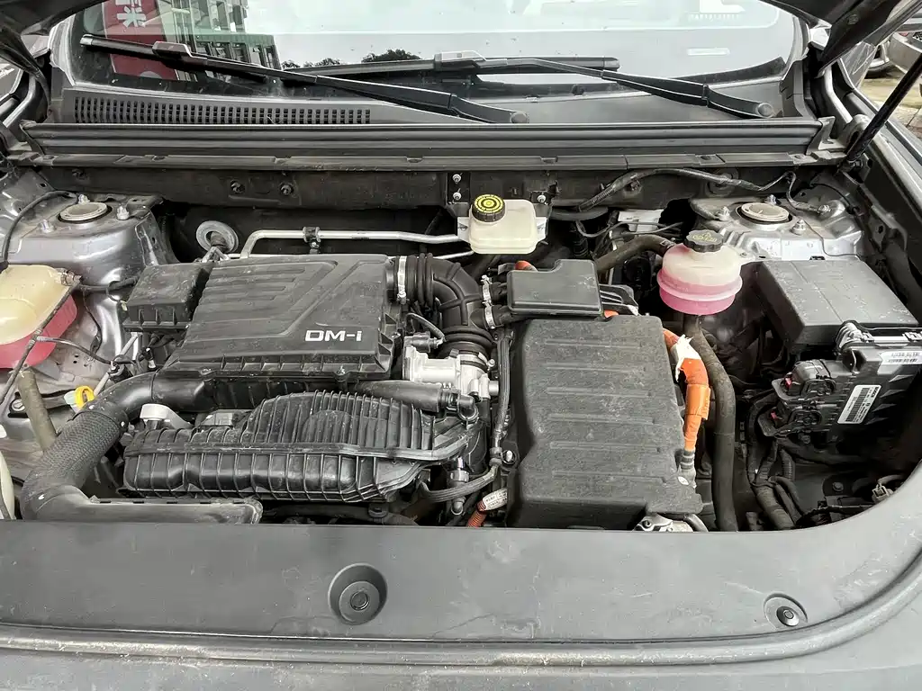 BYD Pro New Energy — миниатюра 6