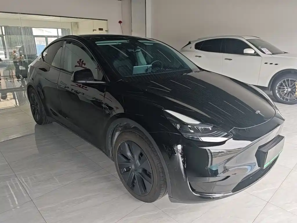 Tesla Model Y — миниатюра 4