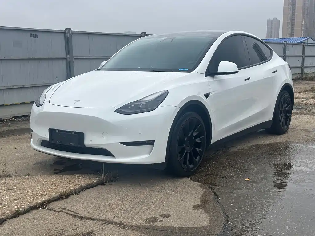 Tesla Model Y 2021