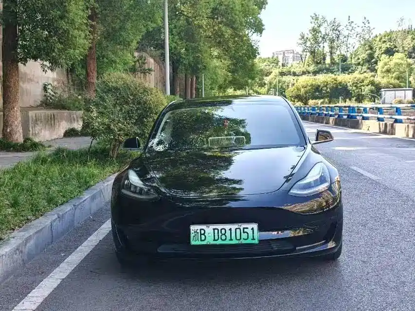 Tesla Model 3 — миниатюра 2