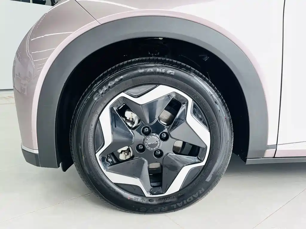 BYD Dolphin — миниатюра 3