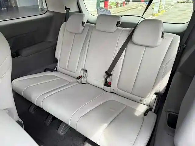 Buick GL8 — миниатюра 20