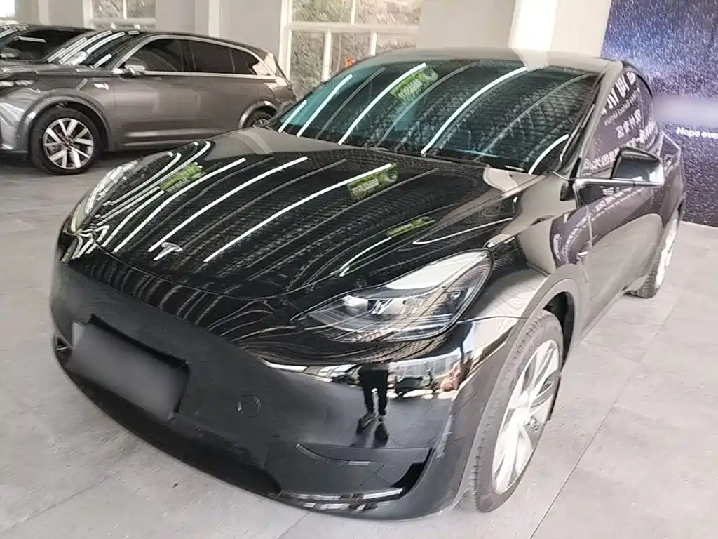 Tesla Model Y — миниатюра 2