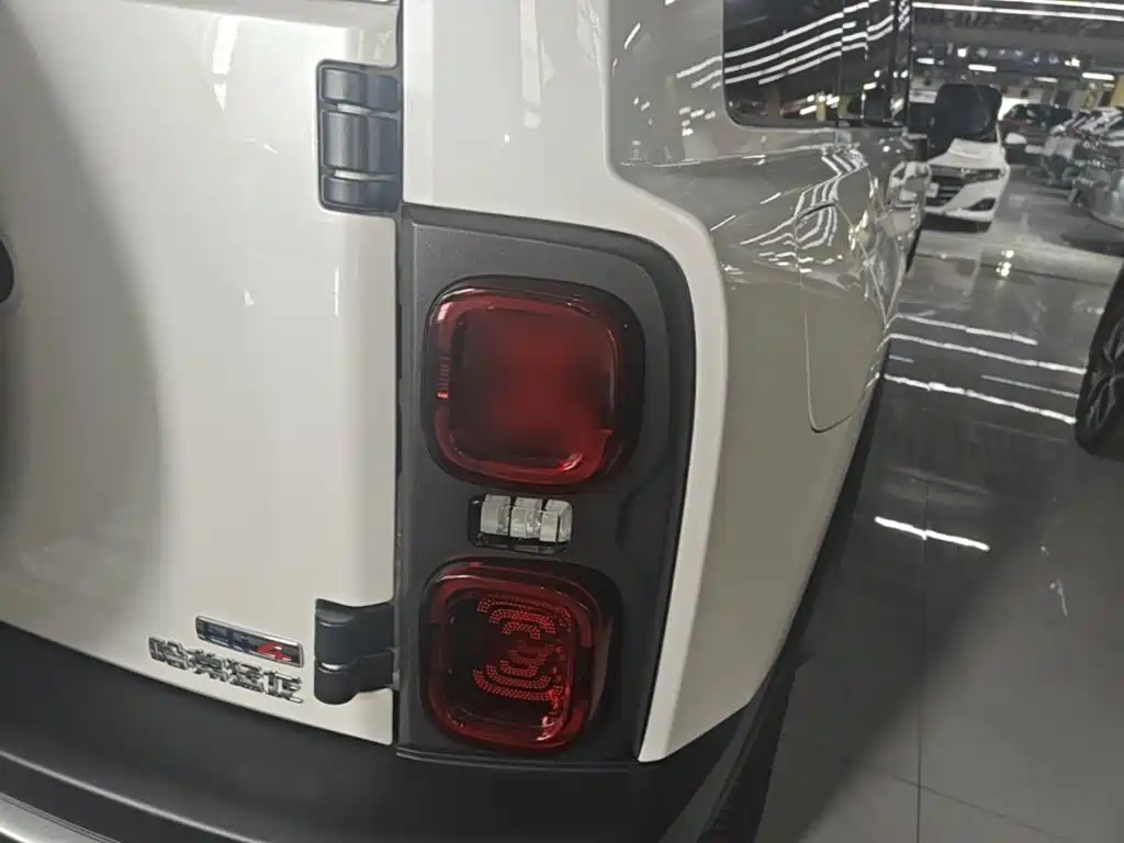 Haval Menglong New Energy — миниатюра 8