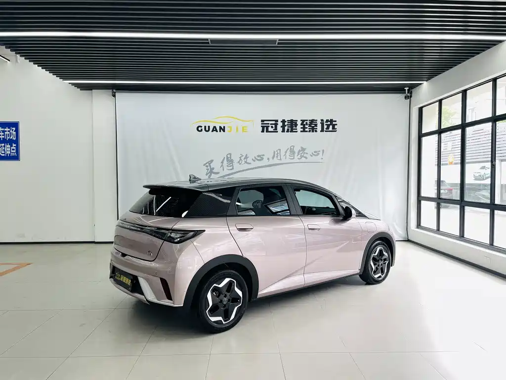 BYD Dolphin — миниатюра 15