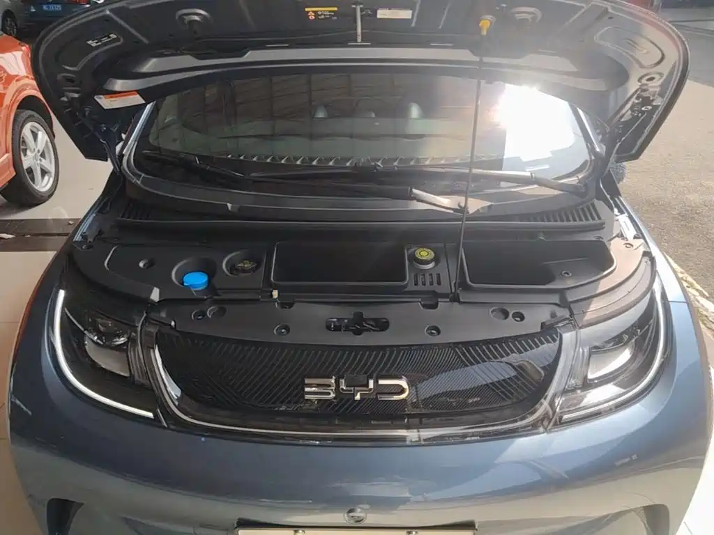 BYD Dolphin — миниатюра 20