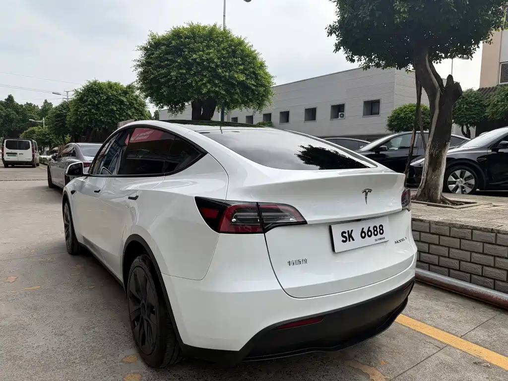 Tesla Model Y — миниатюра 6