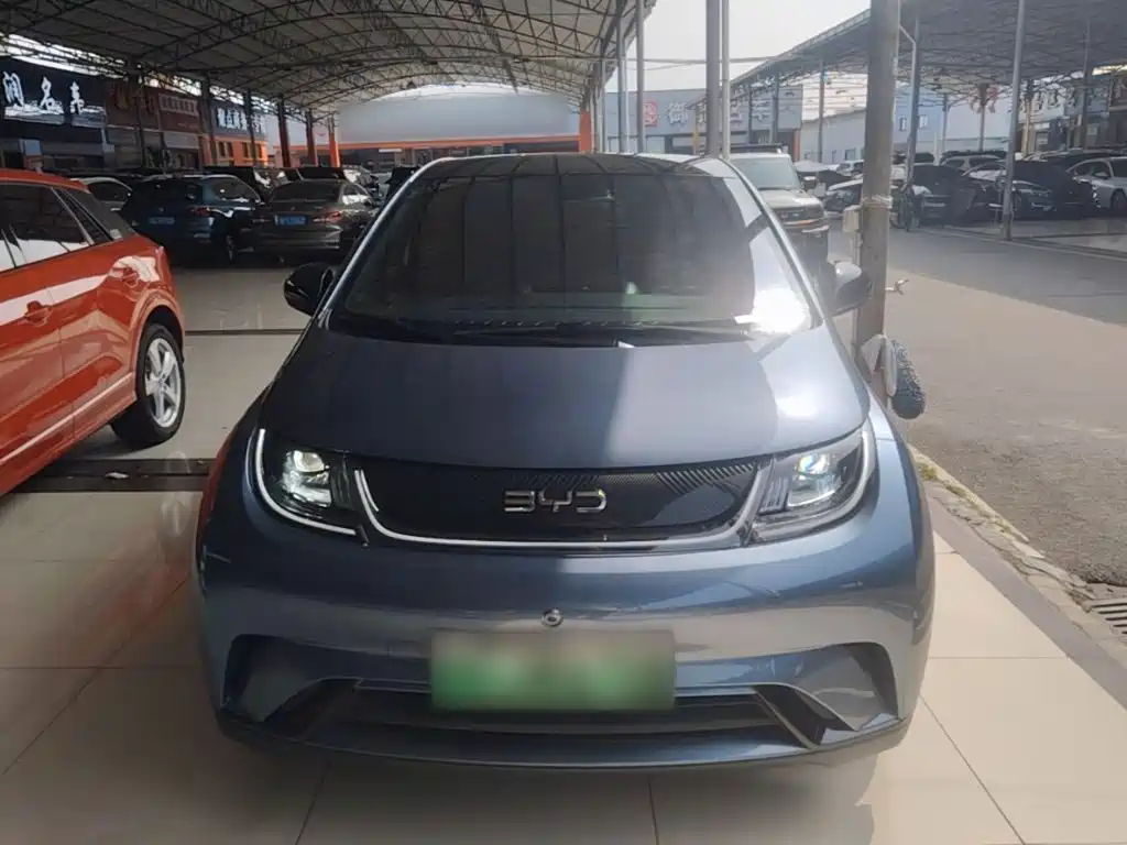 BYD Dolphin — миниатюра 3