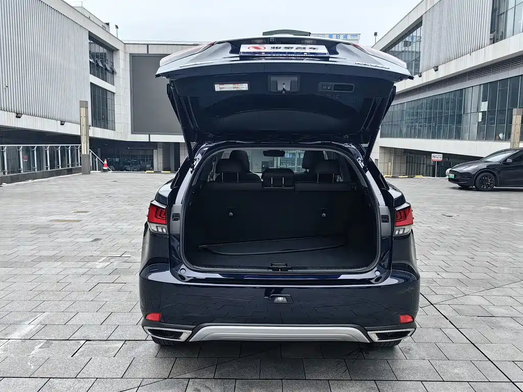 Lexus RX — миниатюра 23