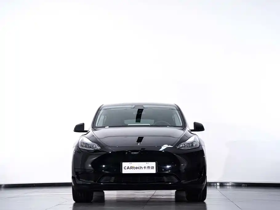 Tesla Model Y — миниатюра 4