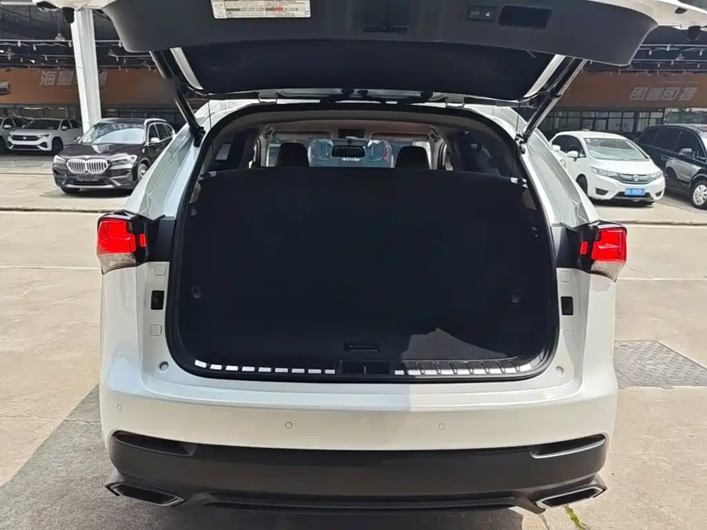 Lexus NX — миниатюра 19