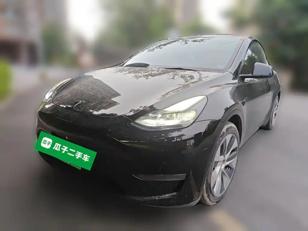 Tesla Model Y — миниатюра 2