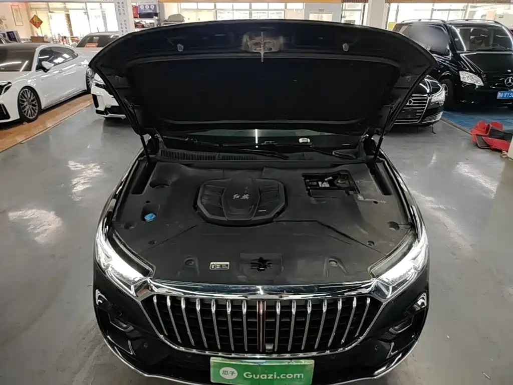 Hongqi Hongqi HS5 — миниатюра 20