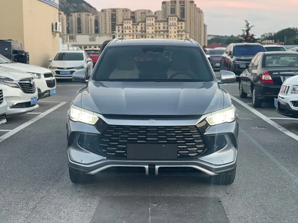 BYD Pro New Energy — миниатюра 2