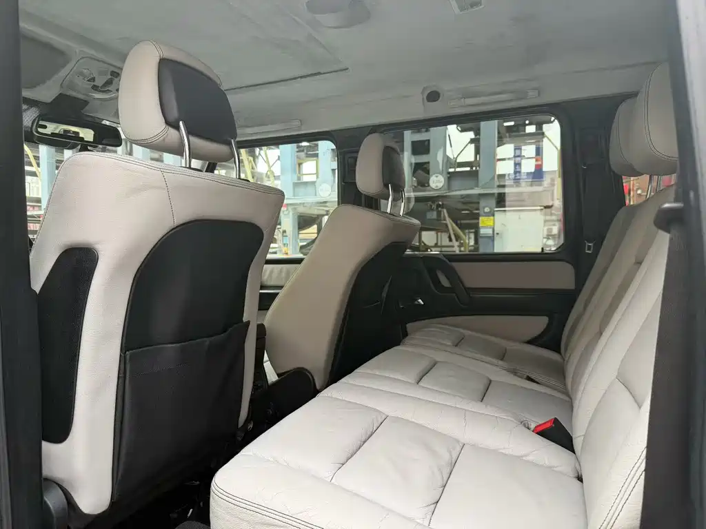 Mercedes-Benz G-Class G 2010 G 500