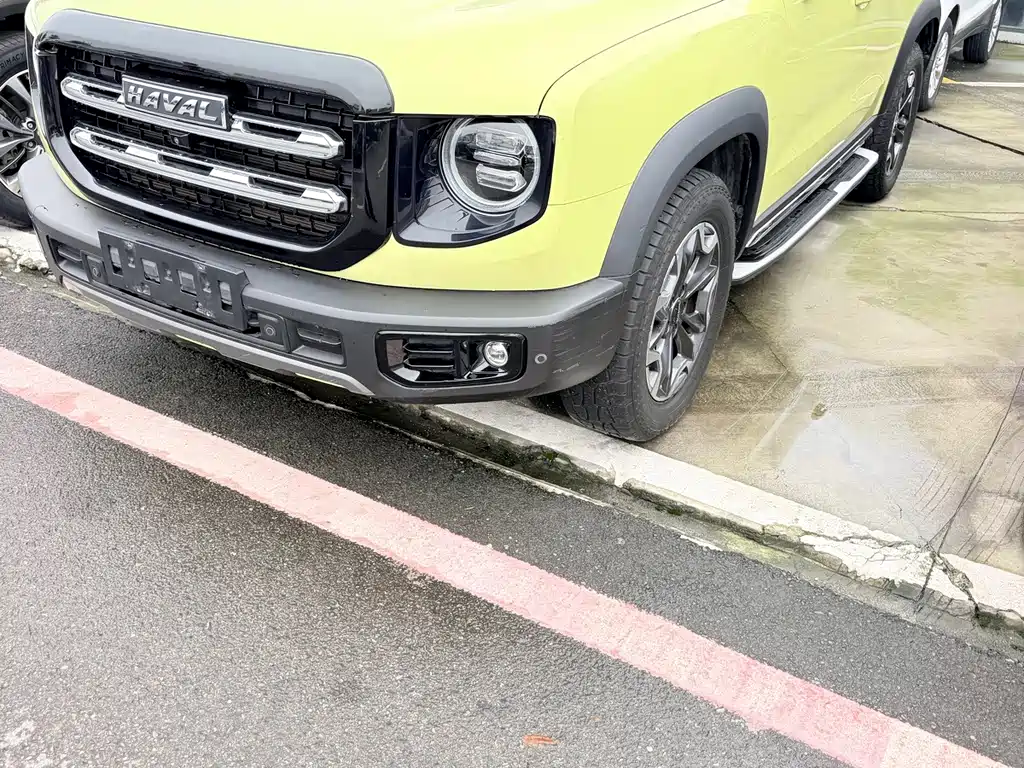 Haval Big Dog