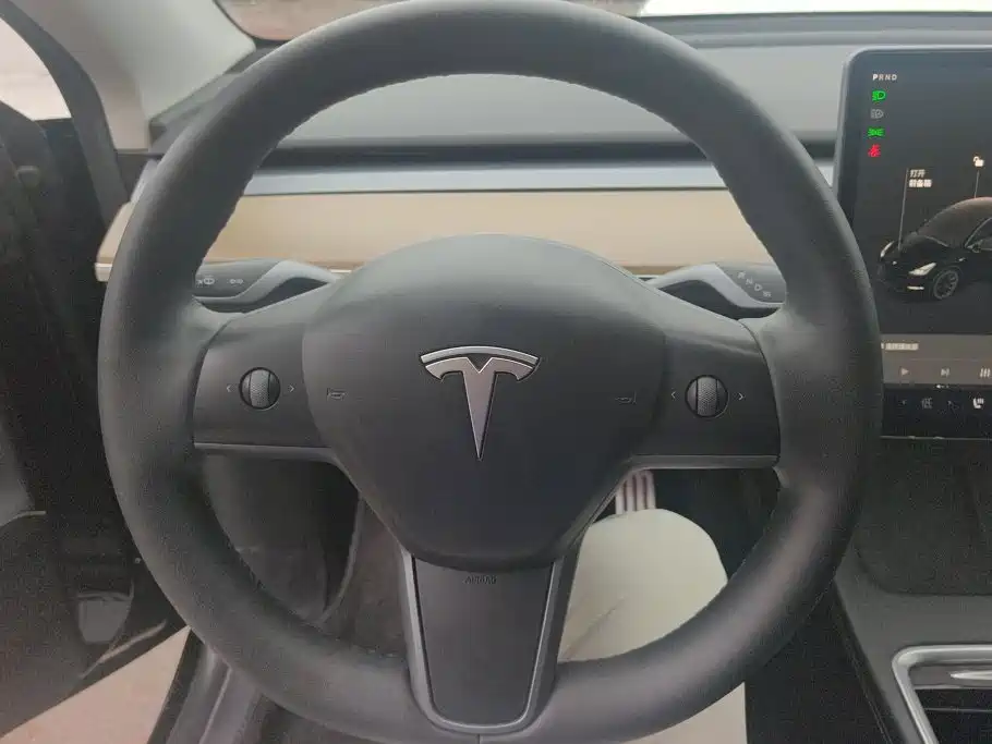 Tesla Model Y — миниатюра 15