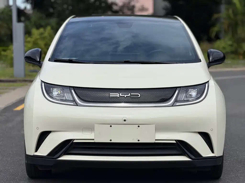 BYD Dolphin — миниатюра 2