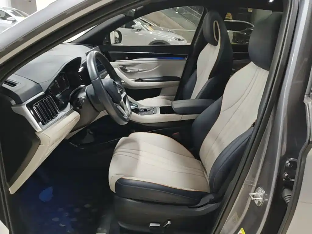 BYD PLUS New Energy — миниатюра 15