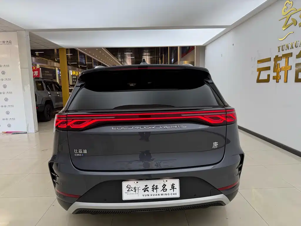 BYD Tang New Energy — миниатюра 20