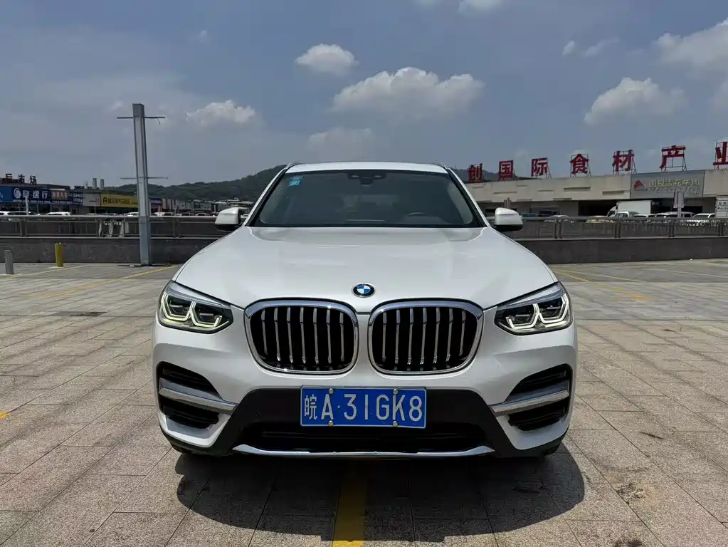 BMW X3 2019 xDrive25i Luxury