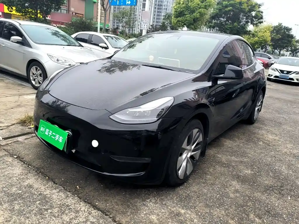 Tesla Model Y — миниатюра 2