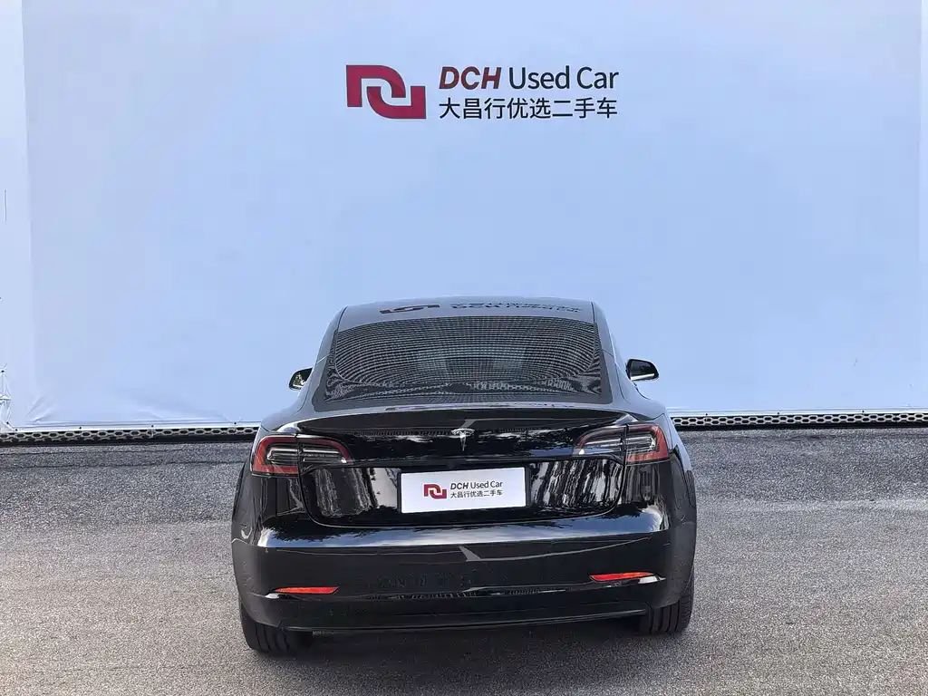 Tesla Model 3 — миниатюра 5