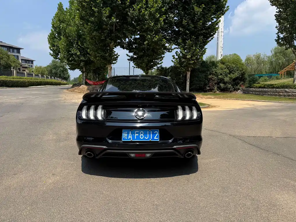 Ford Mustang — миниатюра 8