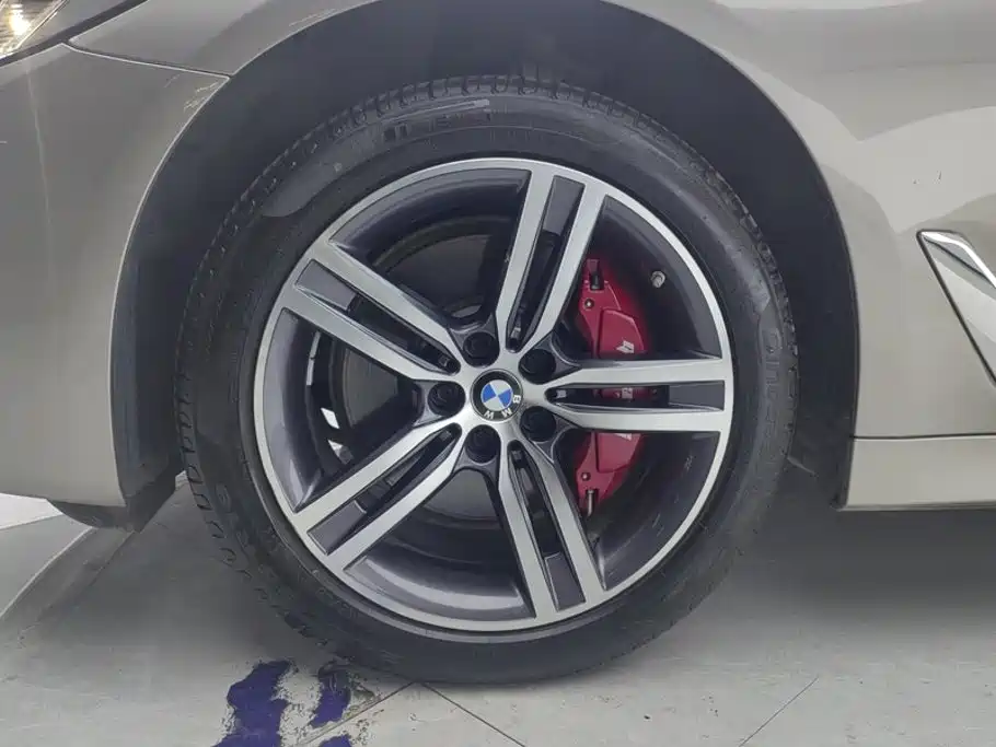 BMW 5 Series 5 2023 530Li Lead Luxury