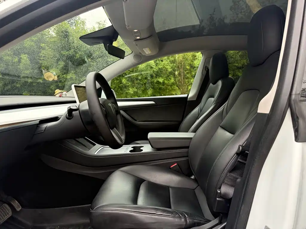 Tesla Model Y — миниатюра 4