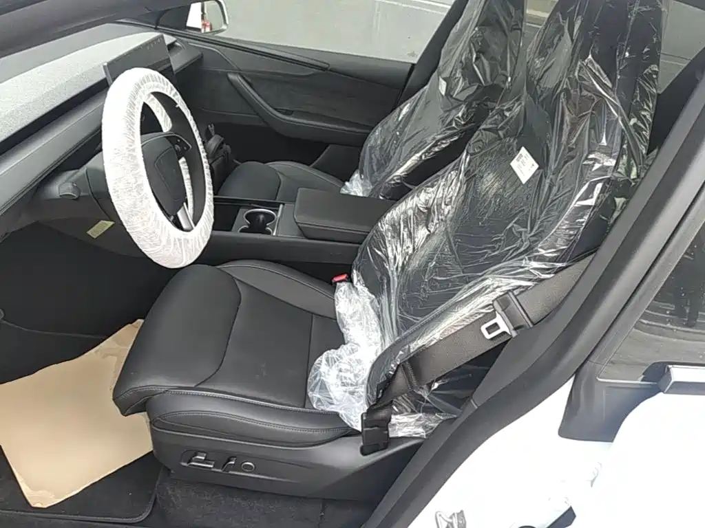 Tesla Model Y — миниатюра 15