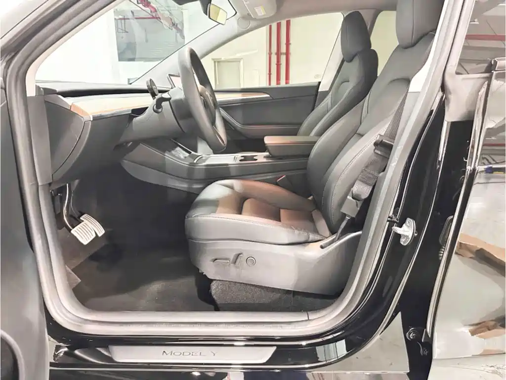 Tesla Model Y — миниатюра 11