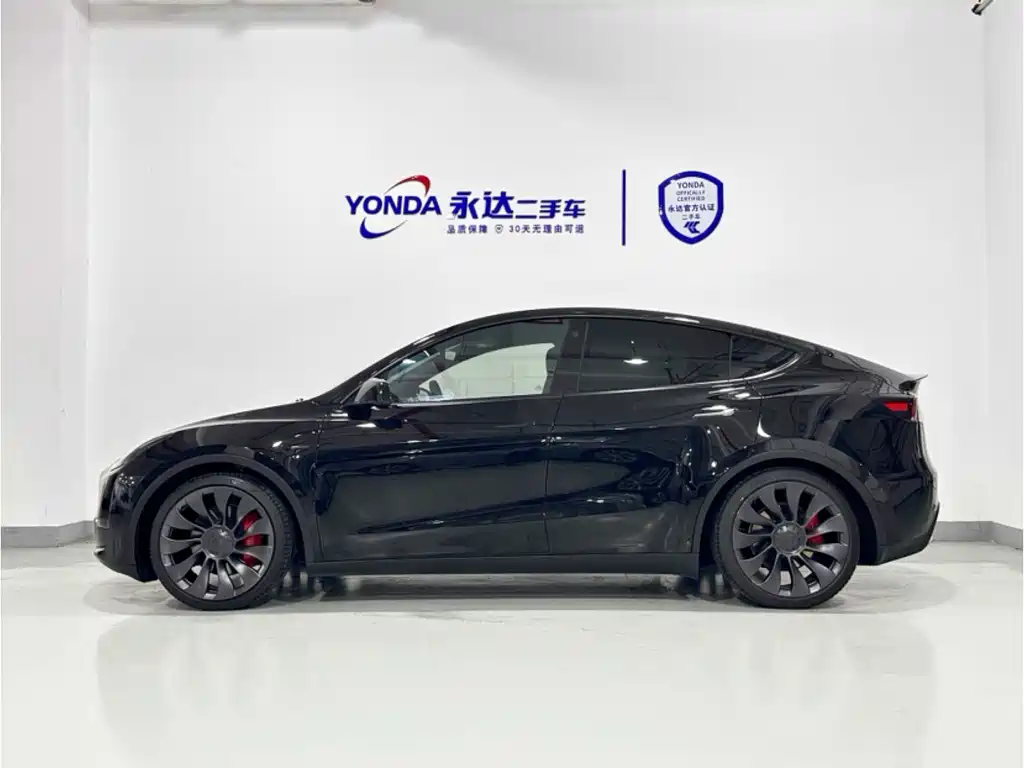 Tesla Model Y — миниатюра 4