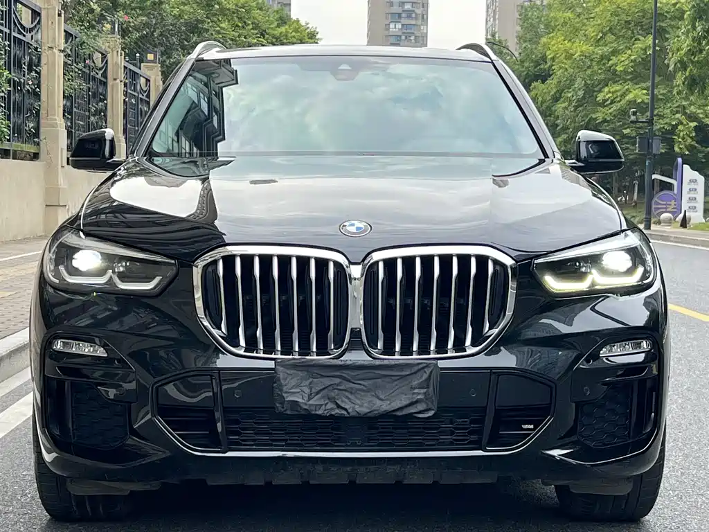 BMW X5 (Import) — миниатюра 2
