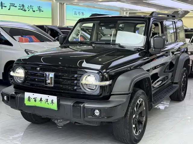 2025 TANK 300
