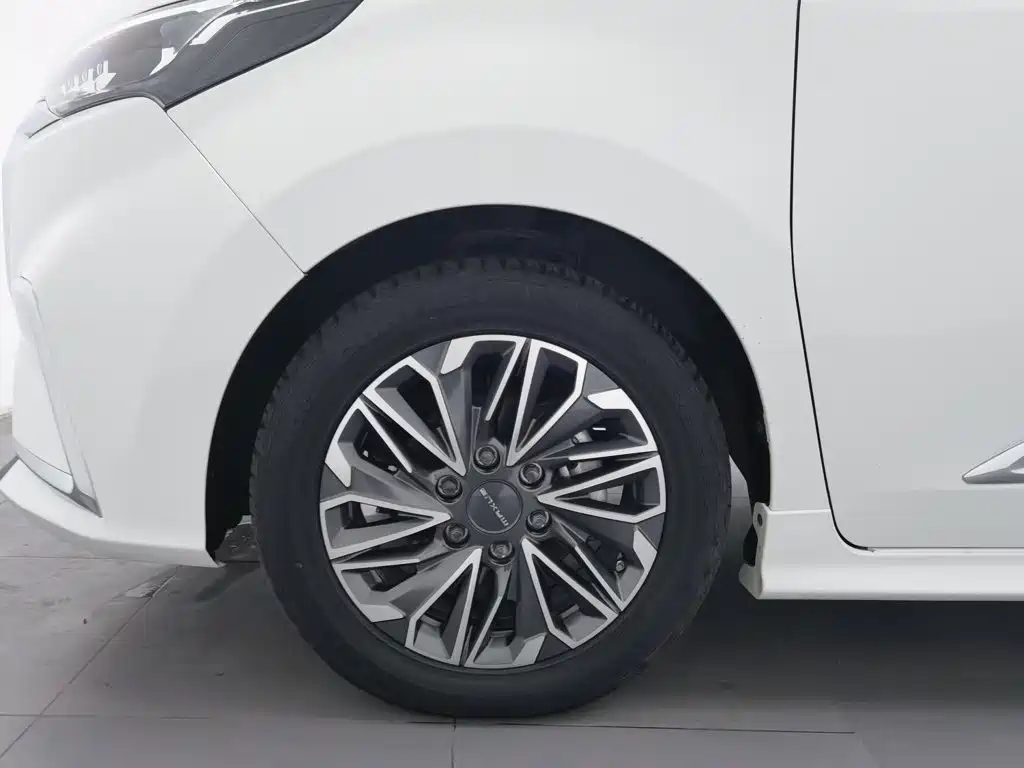 MAXUS G20 — миниатюра 17
