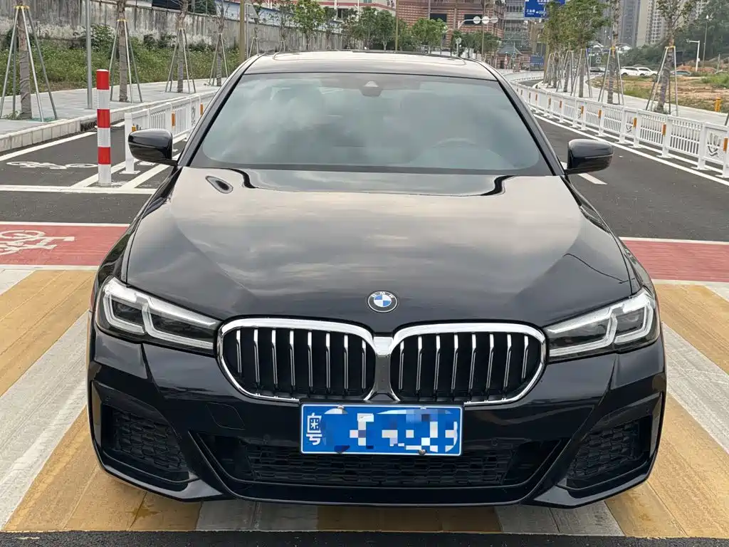 BMW 5 Series — миниатюра 12