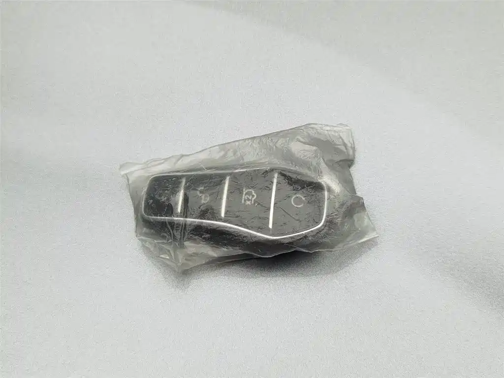 BYD SONGJIANG NEW ENERGY