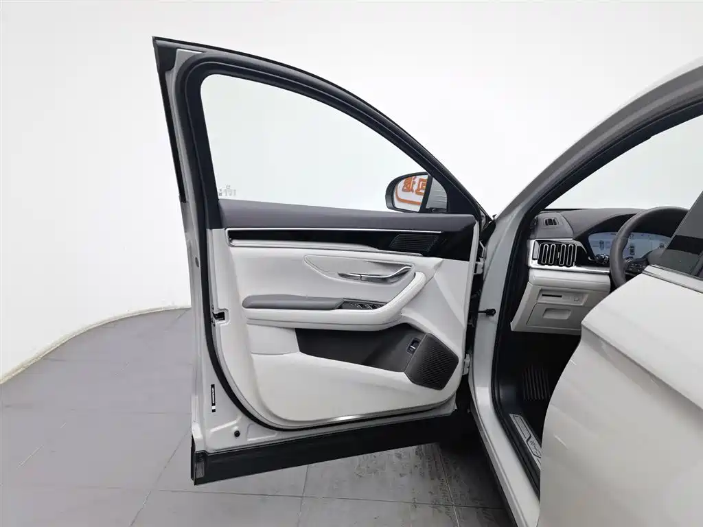 BYD SONGJIANG NEW ENERGY