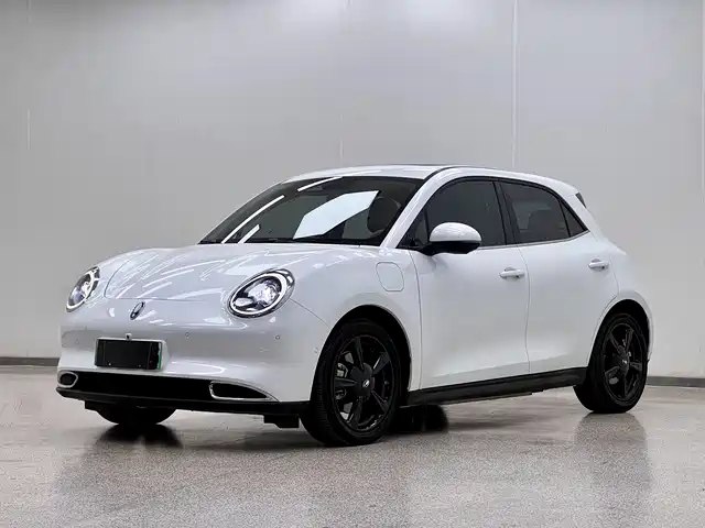 EULER  GOOD CAT 2024