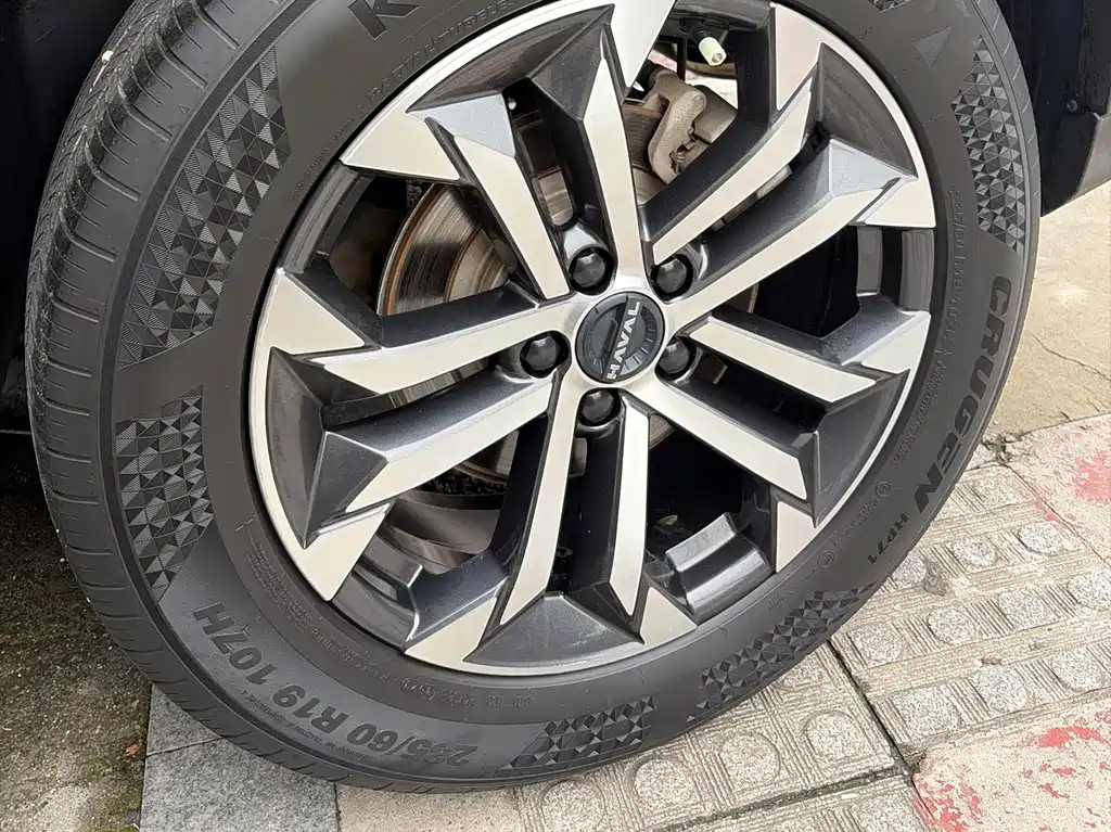 Haval Big Dog PLUS — миниатюра 6