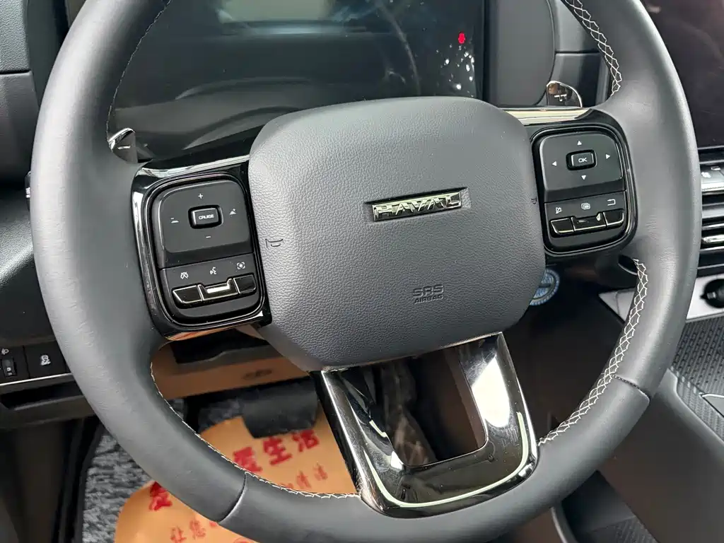 Haval Big Dog PLUS — миниатюра 12