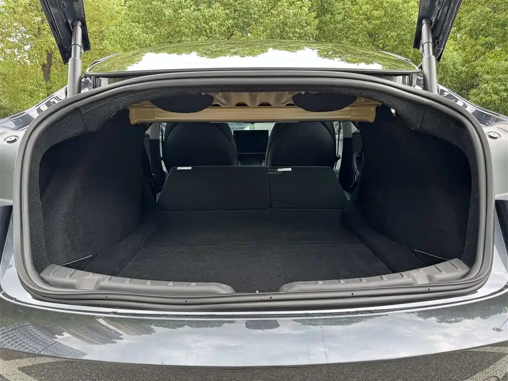 Tesla Model 3 — миниатюра 27