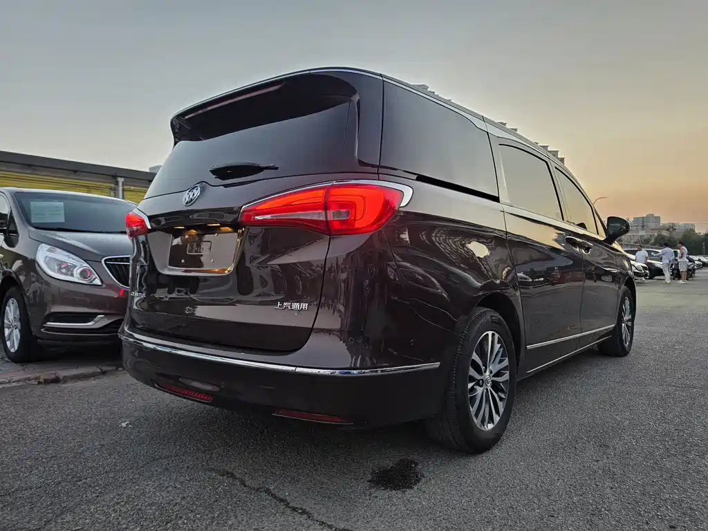 Buick GL8 — миниатюра 13